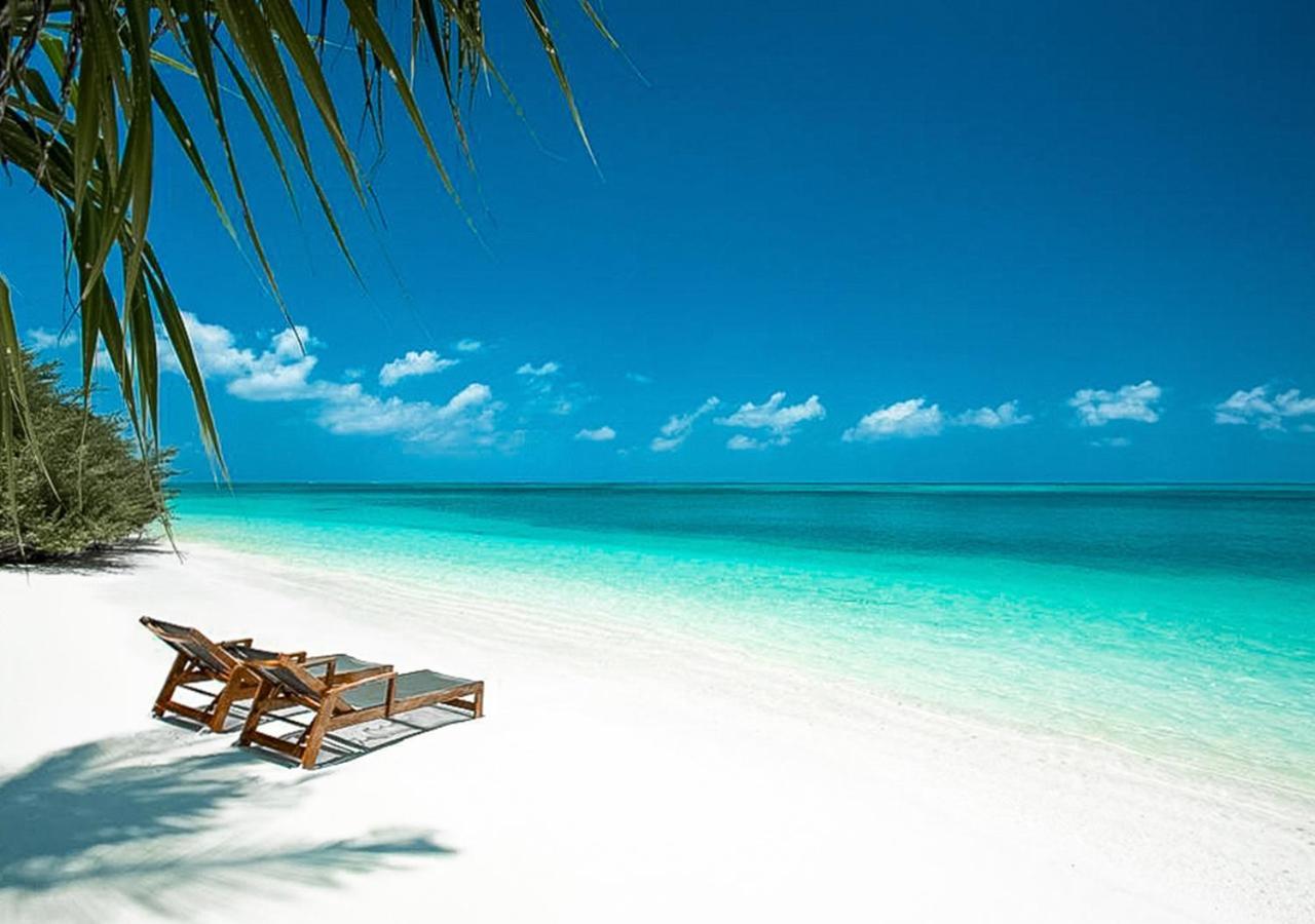 Tropical Tree Hotel Fehendhoo Kültér fotó