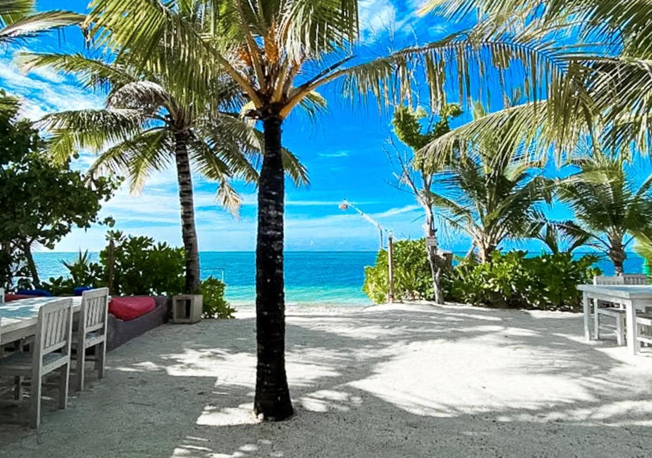 Tropical Tree Hotel Fehendhoo Kültér fotó
