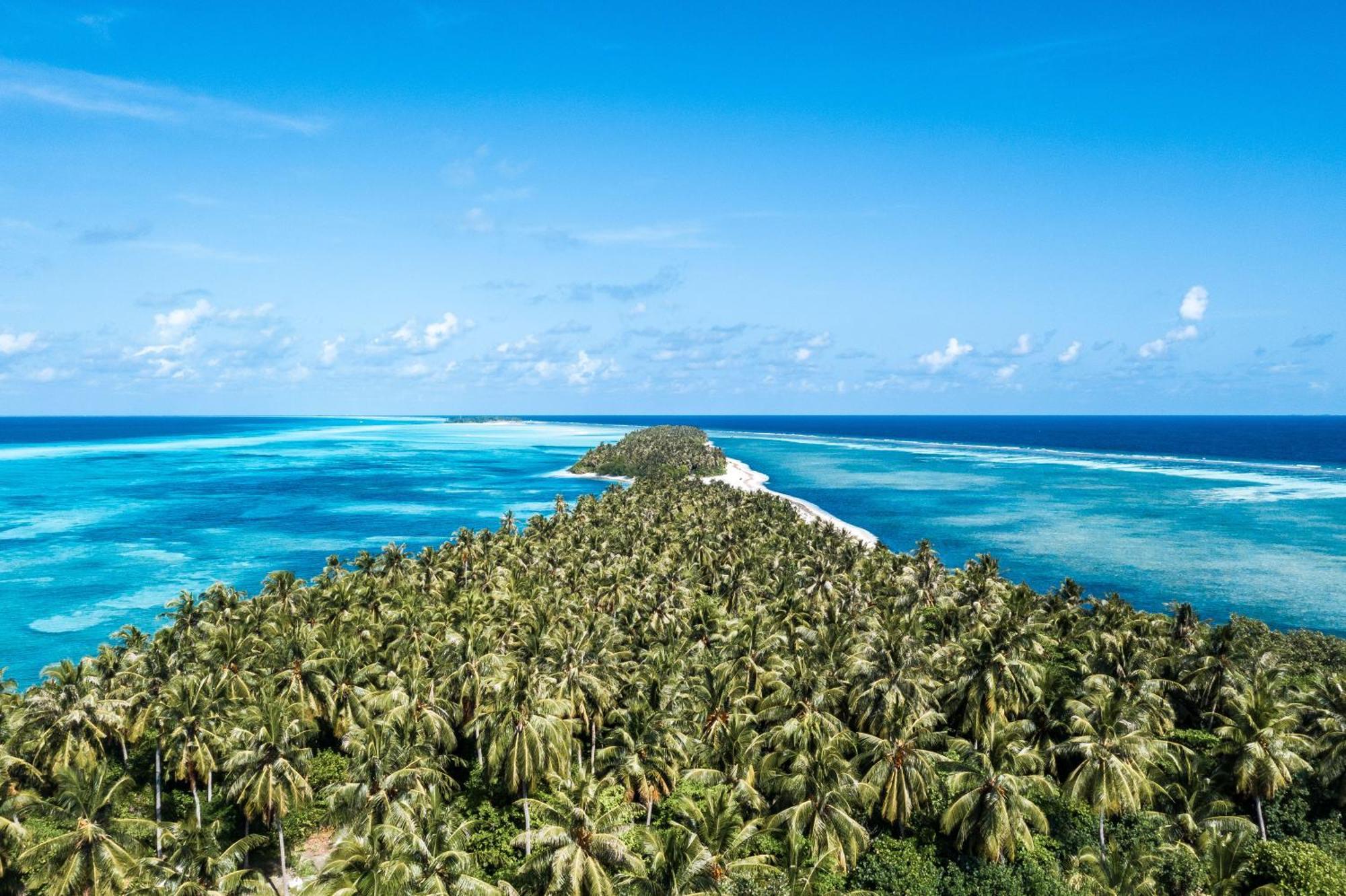 Tropical Tree Hotel Fehendhoo Kültér fotó