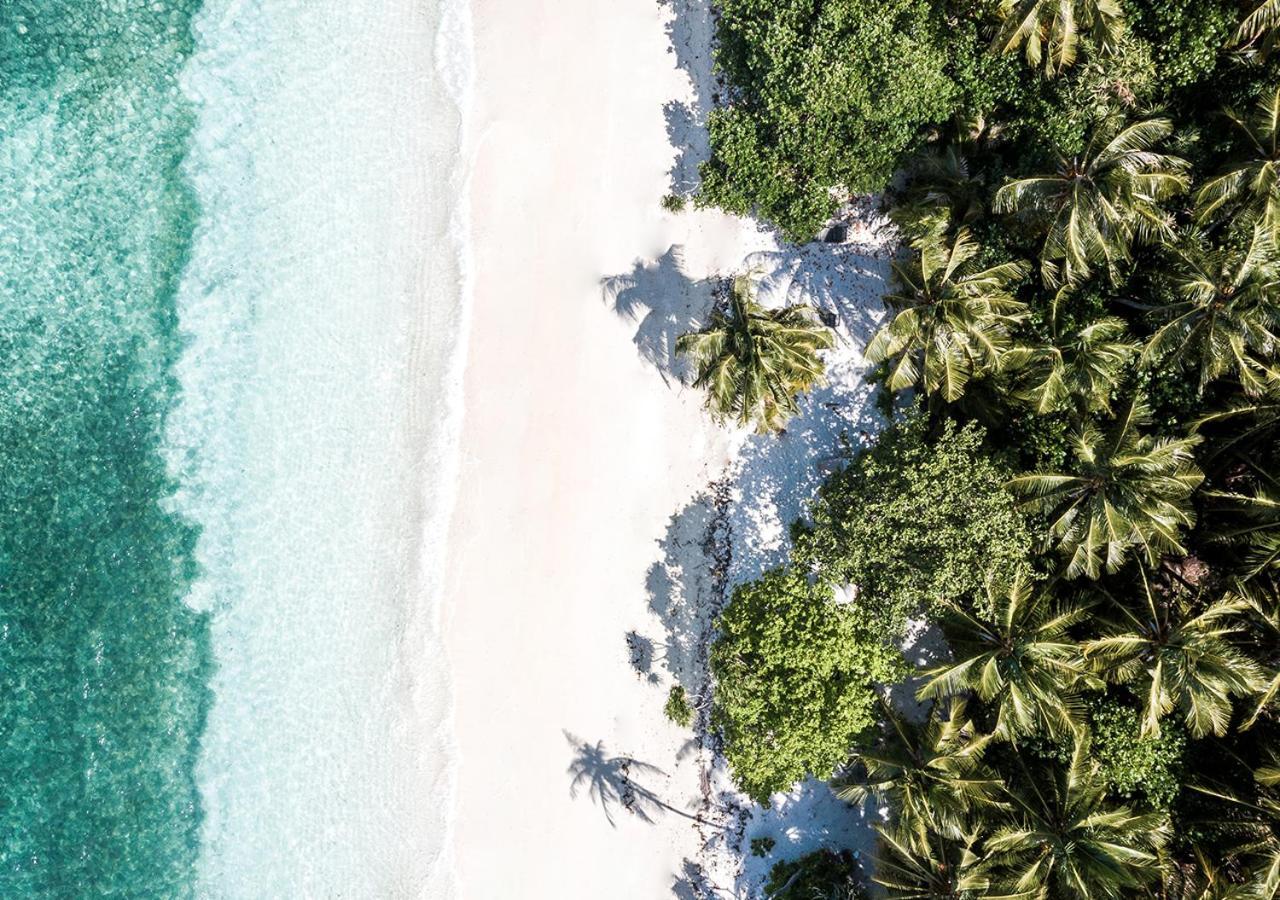 Tropical Tree Hotel Fehendhoo Kültér fotó