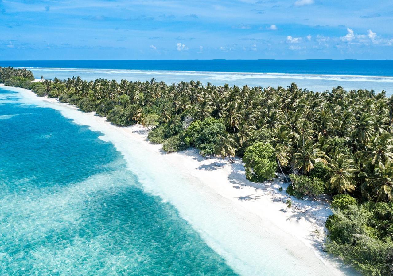 Tropical Tree Hotel Fehendhoo Kültér fotó